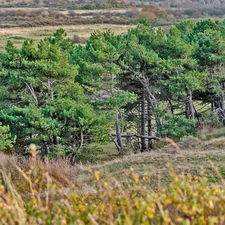 Apartmán Prinsenhof # Tweeentwintig Bergen