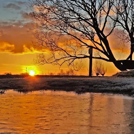 Prinsenhof # Tweeentwintig Apartmán Bergen