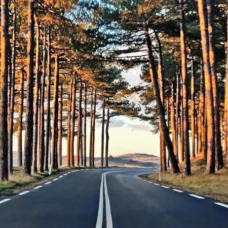 Prinsenhof # Tweeentwintig Apartmán Bergen