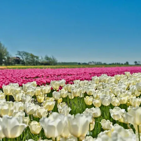 Prinsenhof # Tweeentwintig * Берген